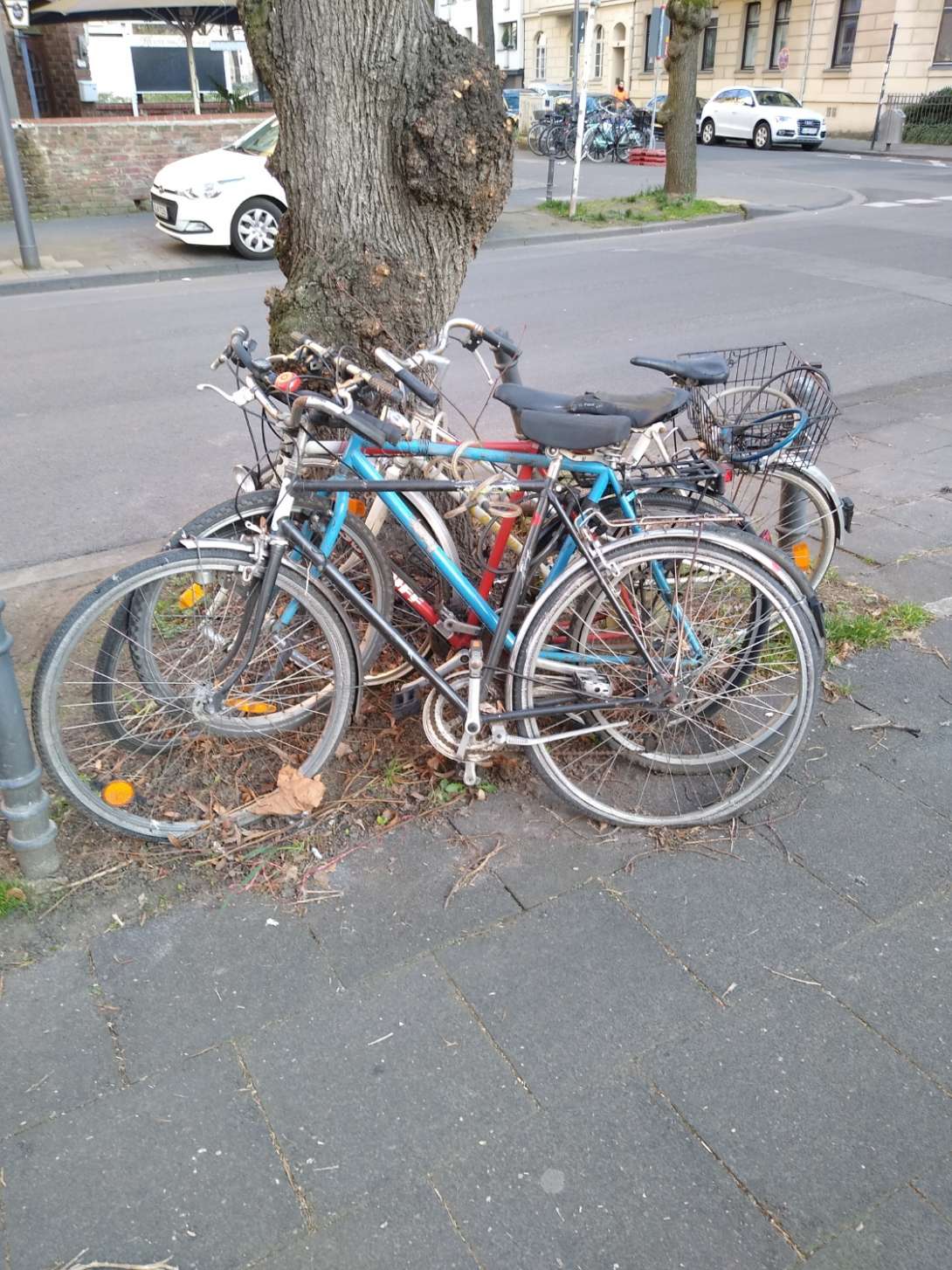 Bild zu gemeldetem Anliegen vom *2025-03-21 13:09:36