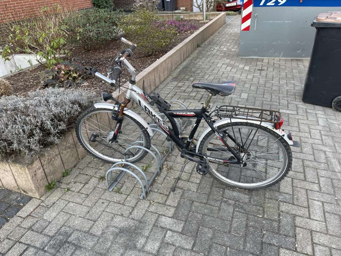 Bild zu gemeldetem Anliegen vom *2025-03-21 11:15:43