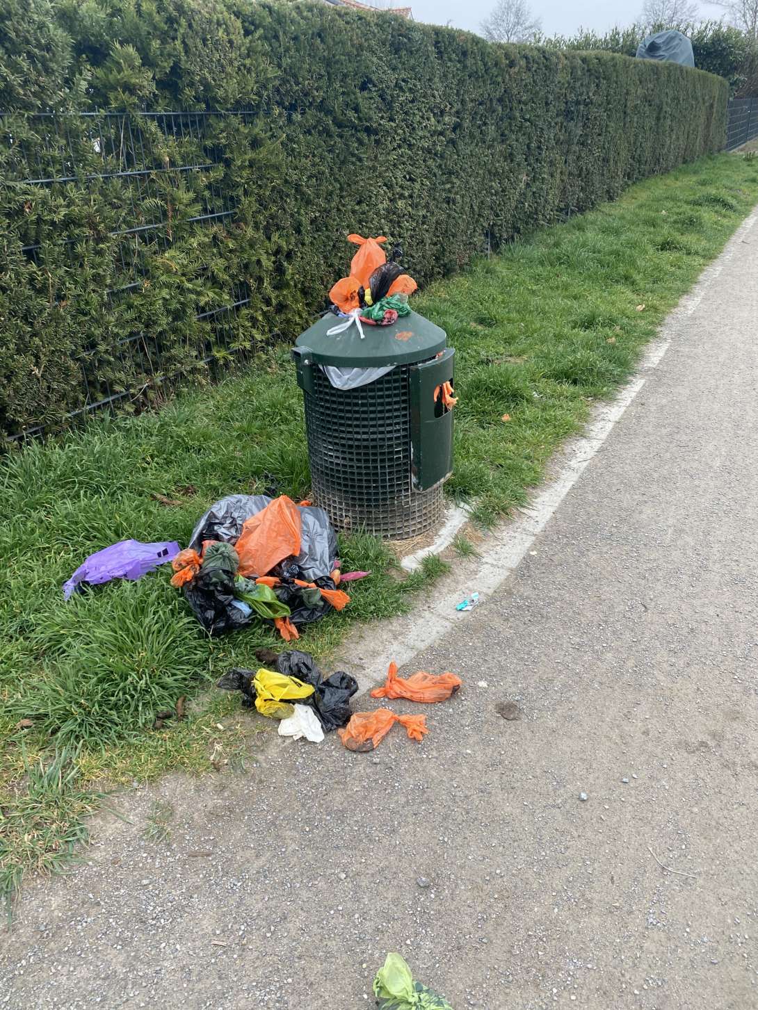 Bild zu gemeldetem Anliegen vom *2025-03-25 08:29:11