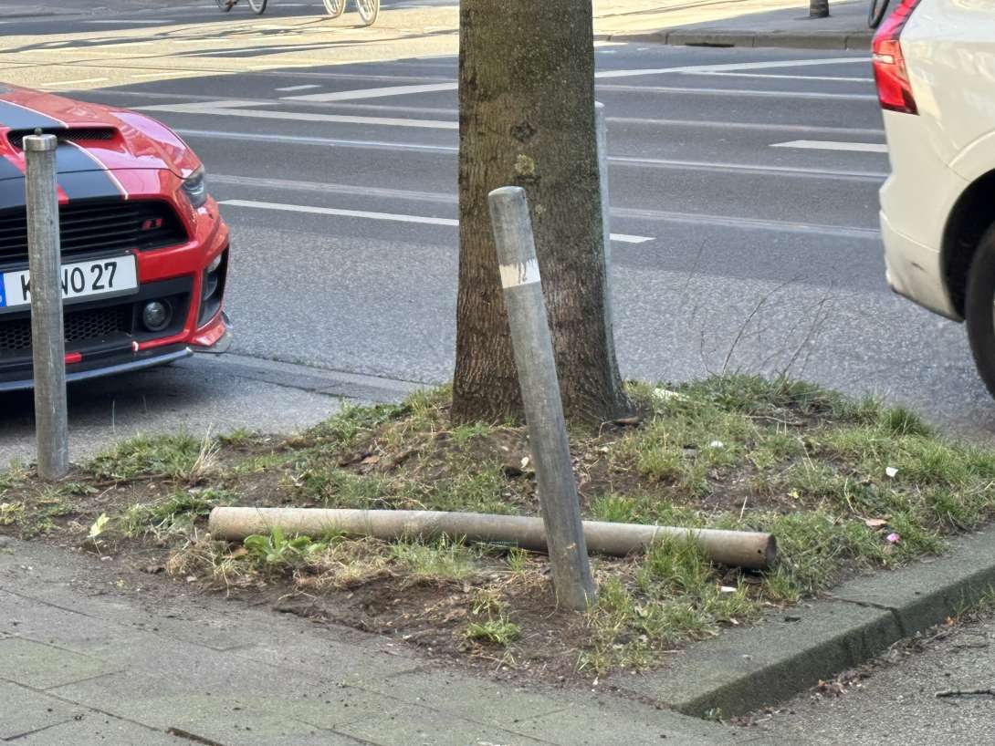 Bild zu gemeldetem Anliegen vom *2025-03-18 16:36:44