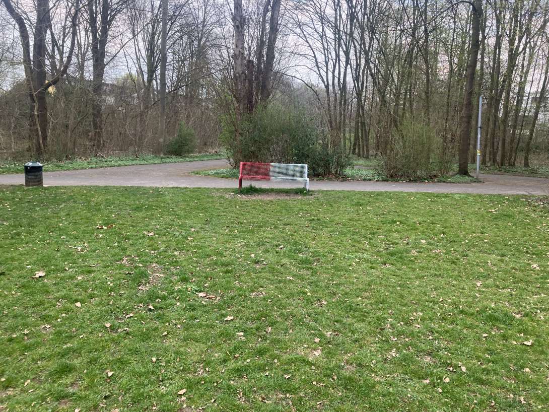 Bild zu gemeldetem Anliegen vom *2025-03-25 12:30:12
