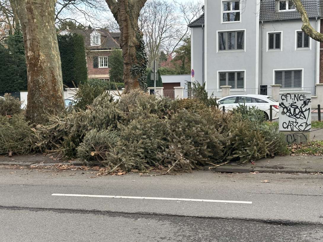 Bild zu gemeldetem Anliegen vom *2025-03-18 09:37:40
