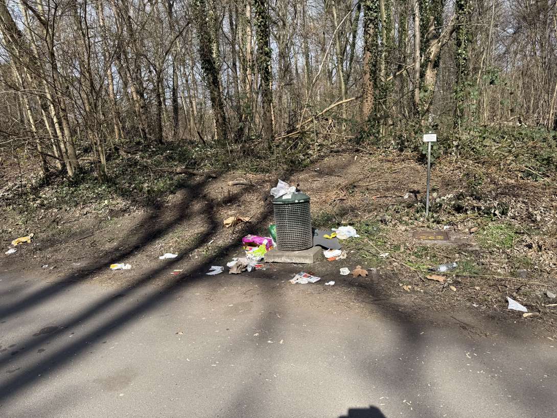 Bild zu gemeldetem Anliegen vom *2025-03-18 08:36:43
