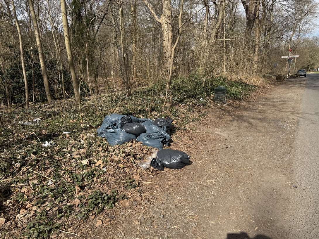 Bild zu gemeldetem Anliegen vom *2025-03-18 08:41:22