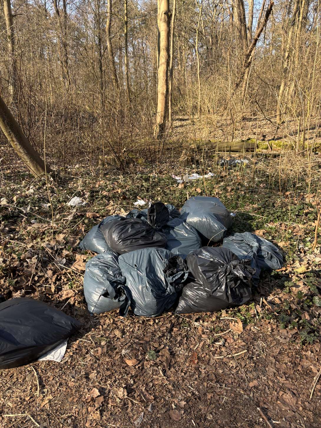 Bild zu gemeldetem Anliegen vom *2025-03-18 10:26:45