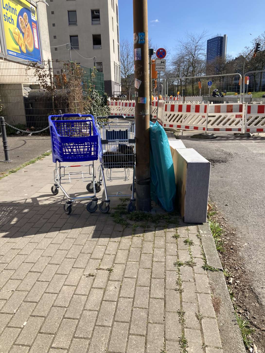Bild zu gemeldetem Anliegen vom *2025-03-18 09:42:52