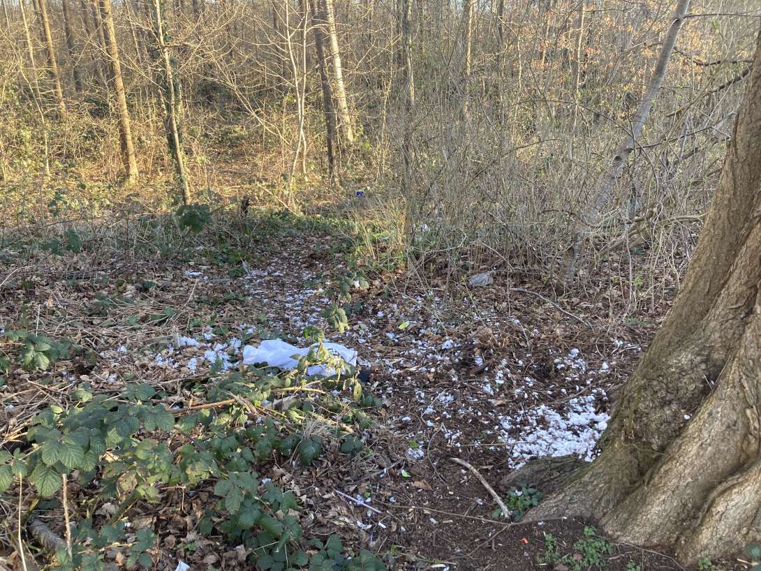Bild zu gemeldetem Anliegen vom *2025-03-18 11:24:59