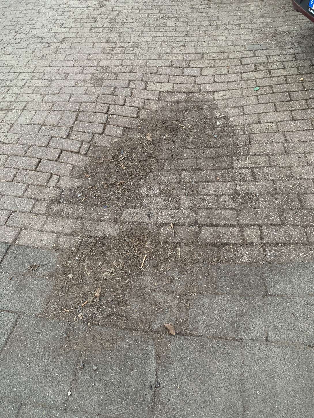 Bild zu gemeldetem Anliegen vom *2025-03-15 21:19:01