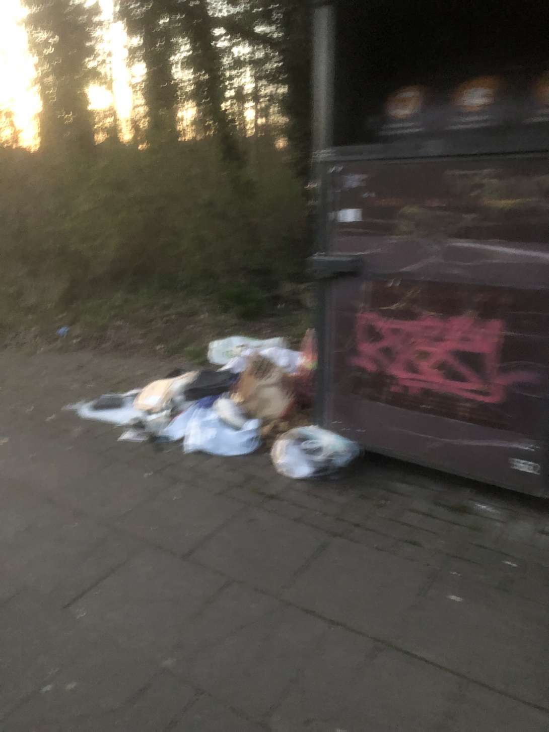 Bild zu gemeldetem Anliegen vom *2025-03-19 19:05:31