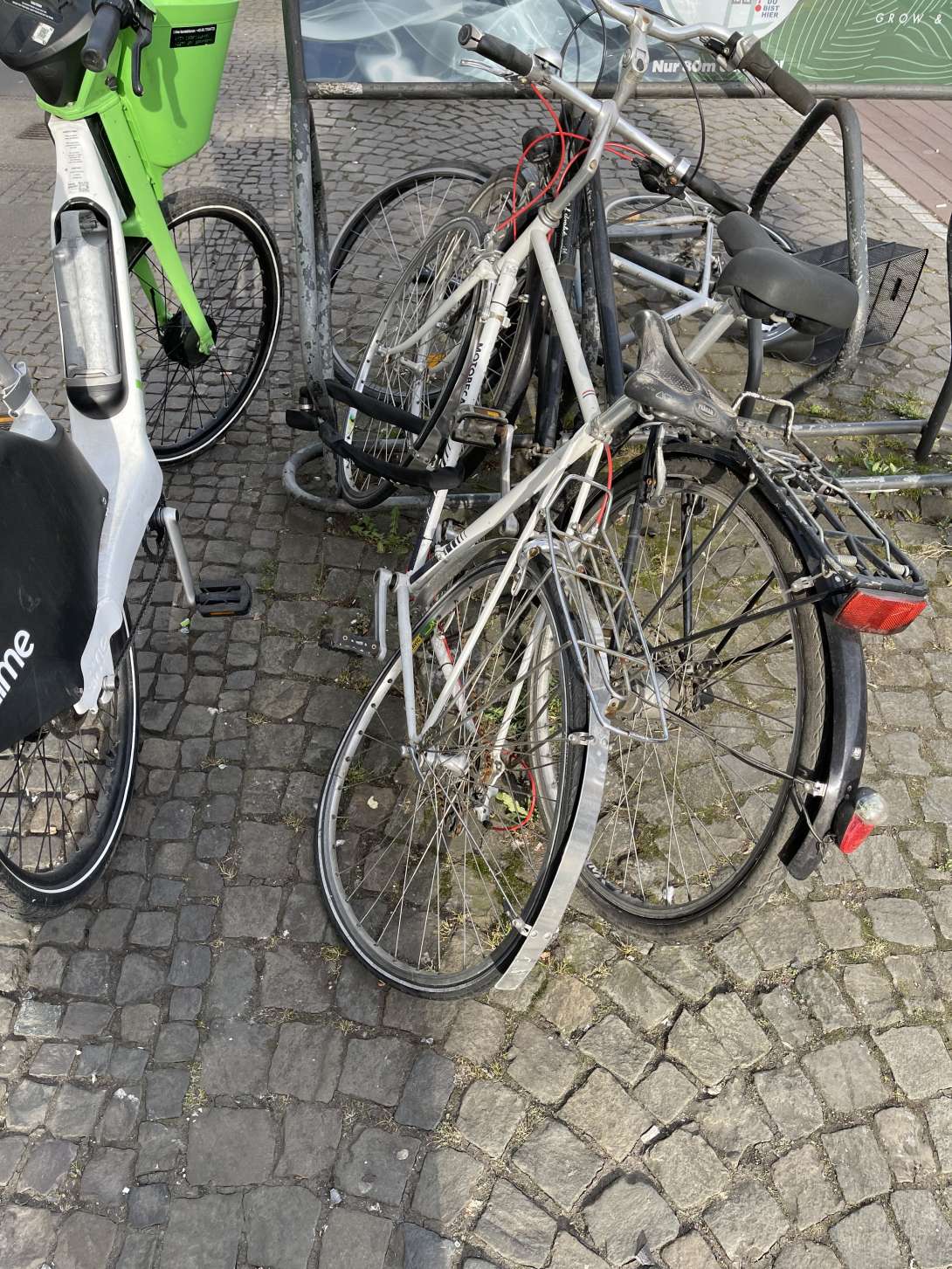 Bild zu gemeldetem Anliegen vom *2025-03-25 13:31:51