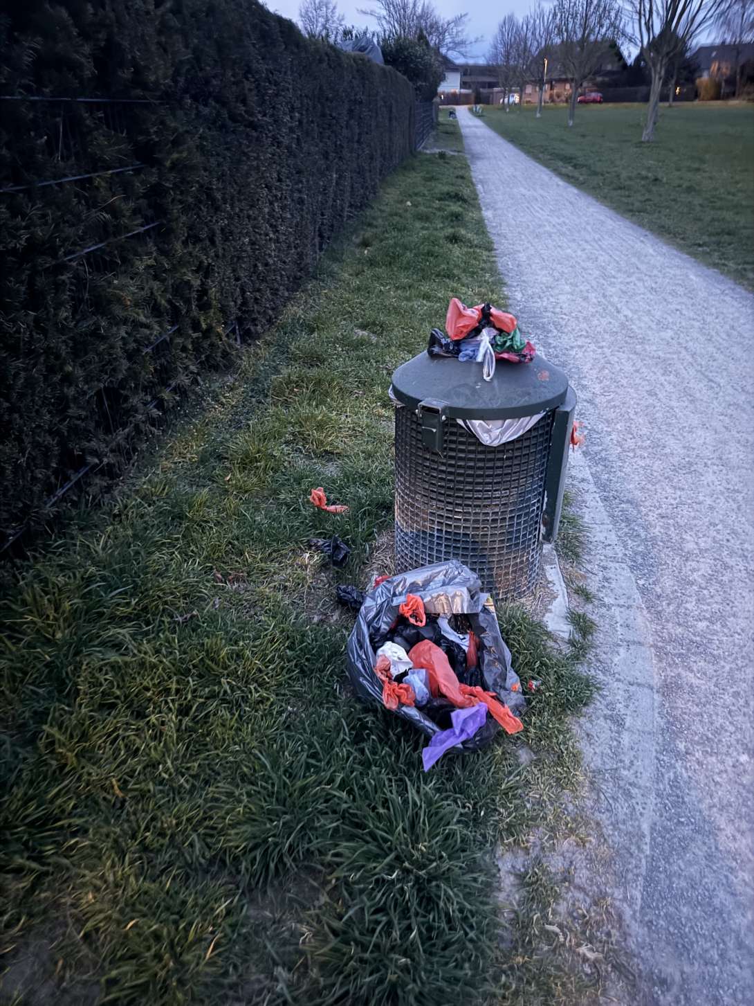 Bild zu gemeldetem Anliegen vom *2025-03-22 19:17:56