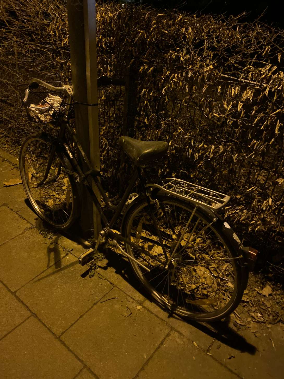 Bild zu gemeldetem Anliegen vom *2025-03-06 20:22:57