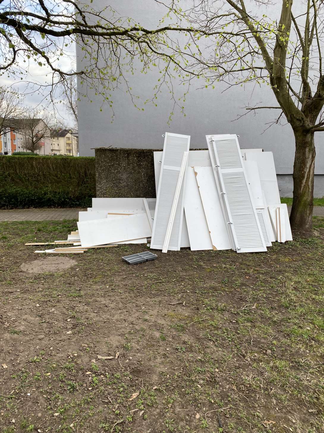 Bild zu gemeldetem Anliegen vom *2025-03-26 22:26:45