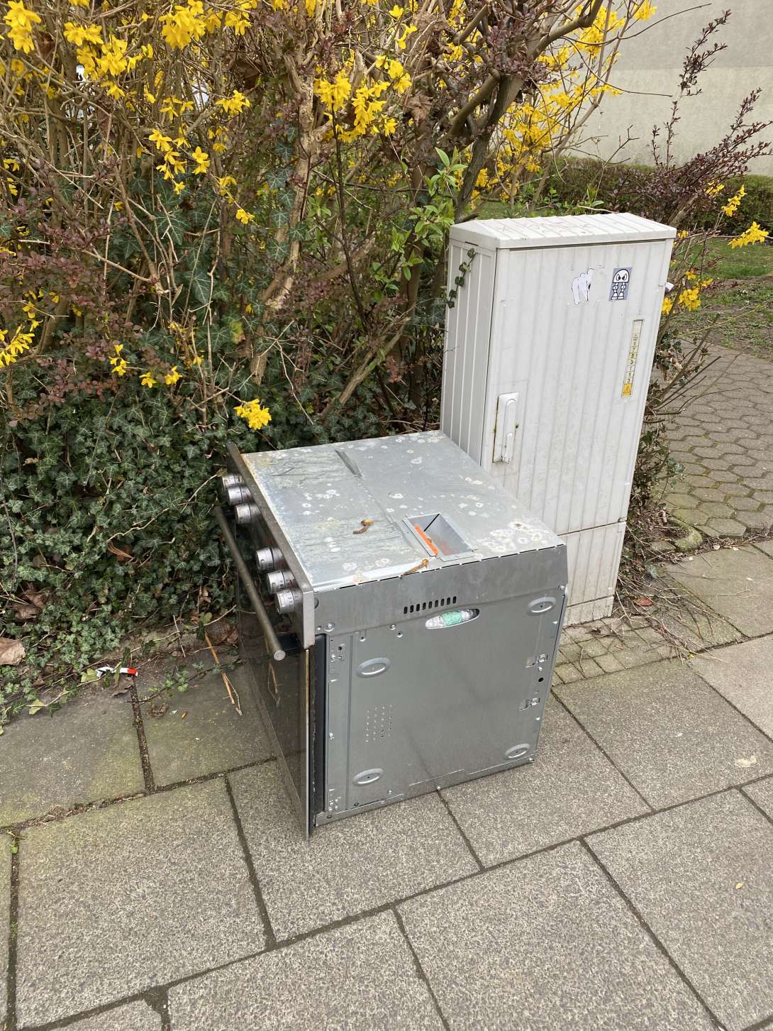 Bild zu gemeldetem Anliegen vom *2025-03-26 22:29:25