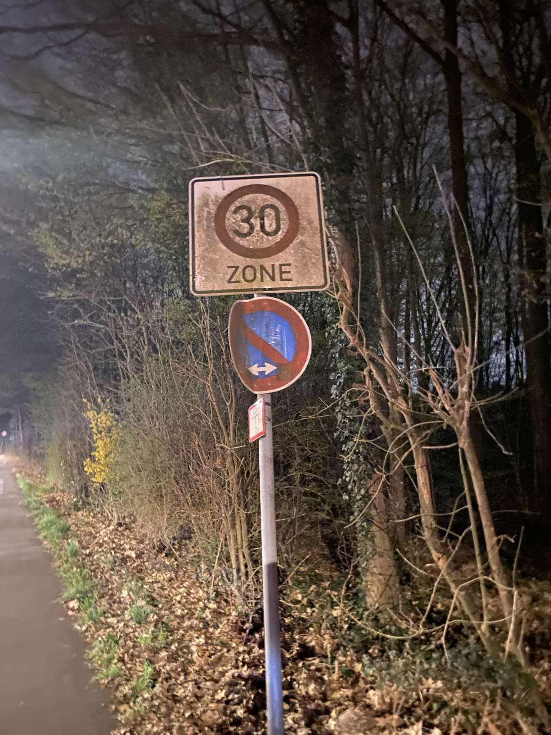 Bild zu gemeldetem Anliegen vom *2025-03-26 22:47:33
