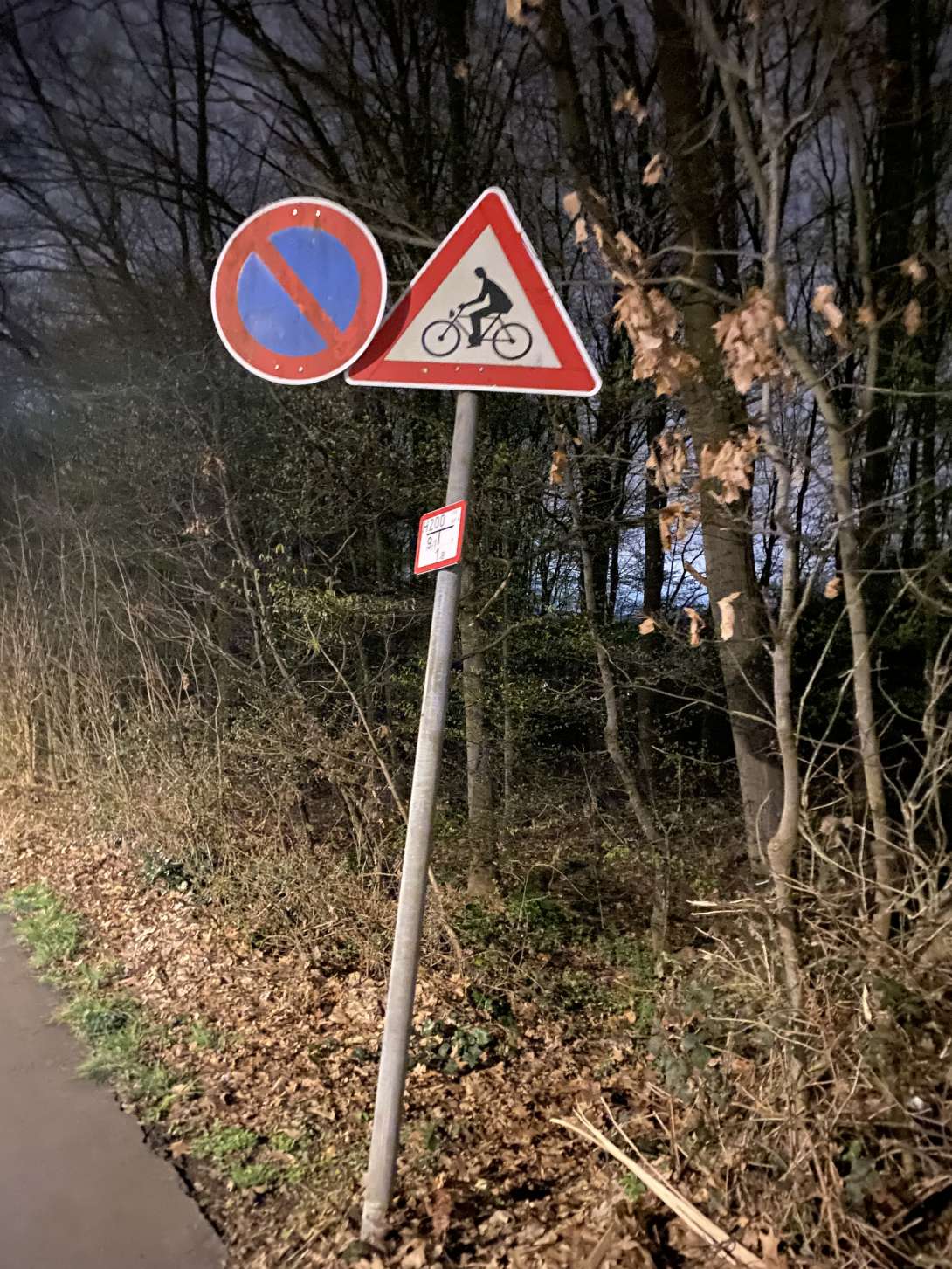 Bild zu gemeldetem Anliegen vom *2025-03-26 22:50:19