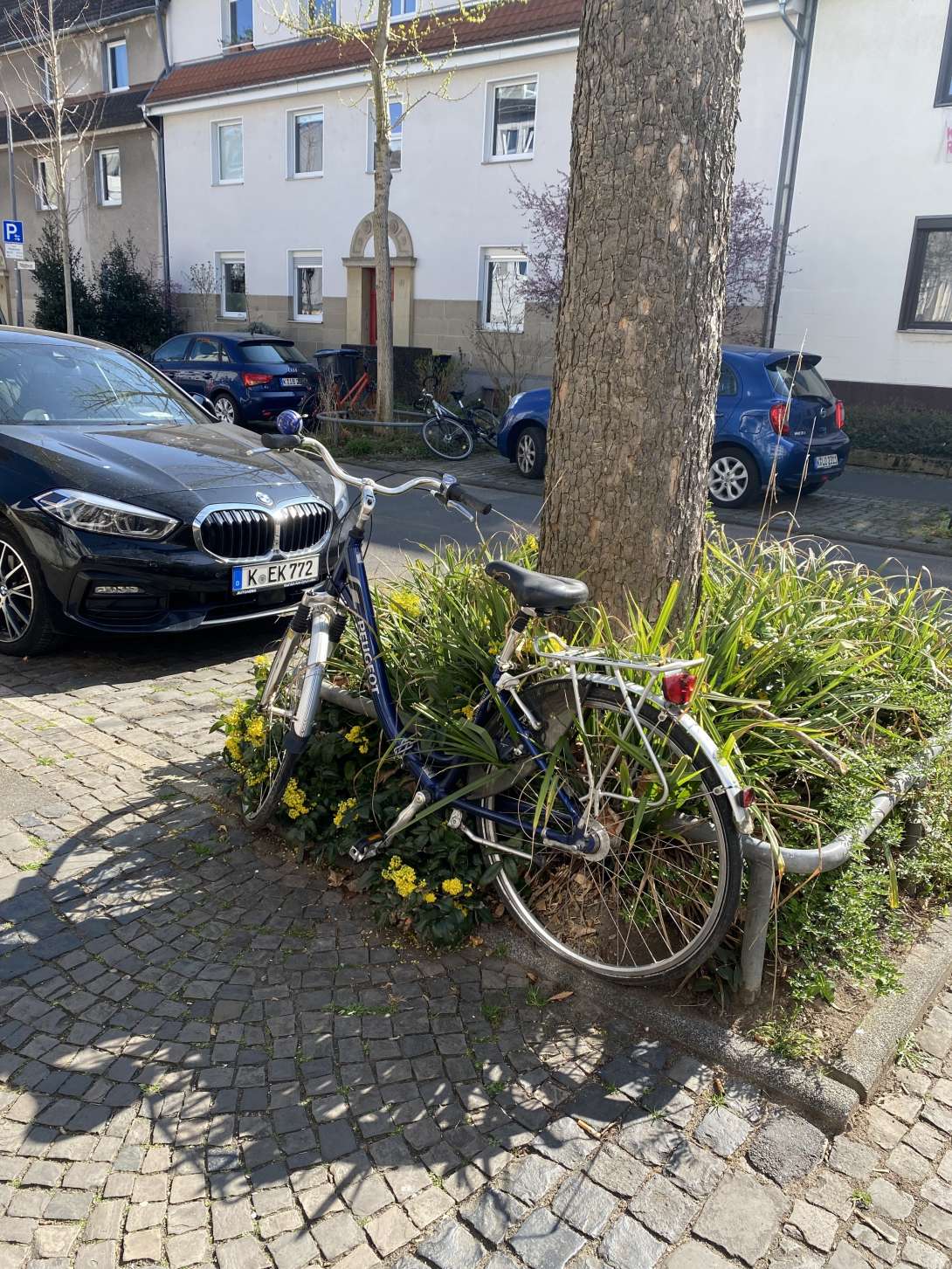 Bild zu gemeldetem Anliegen vom *2025-03-31 07:59:12