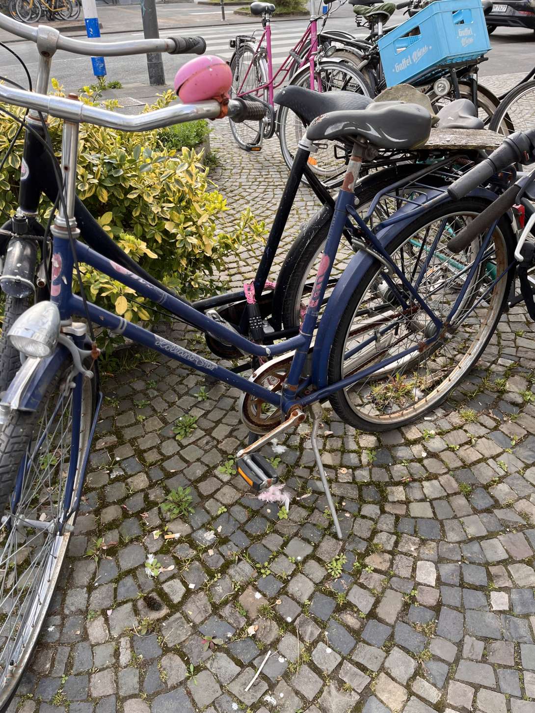 Bild zu gemeldetem Anliegen vom *2025-03-24 16:39:00