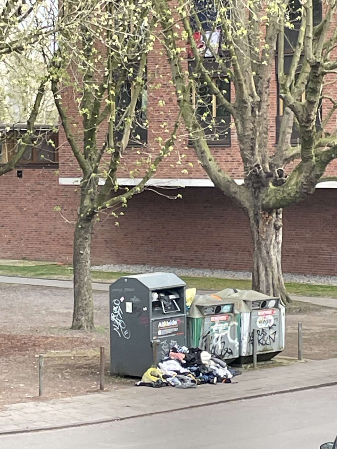 Bild zu gemeldetem Anliegen vom *2025-03-24 17:32:56