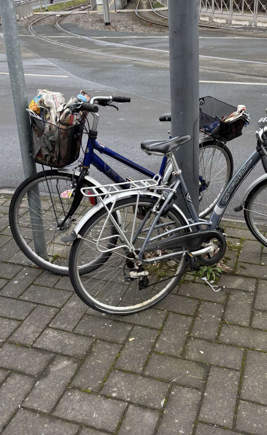 Bild zu gemeldetem Anliegen vom *2025-03-05 10:33:29