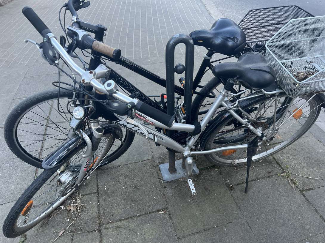 Bild zu gemeldetem Anliegen vom *2025-03-19 08:19:18