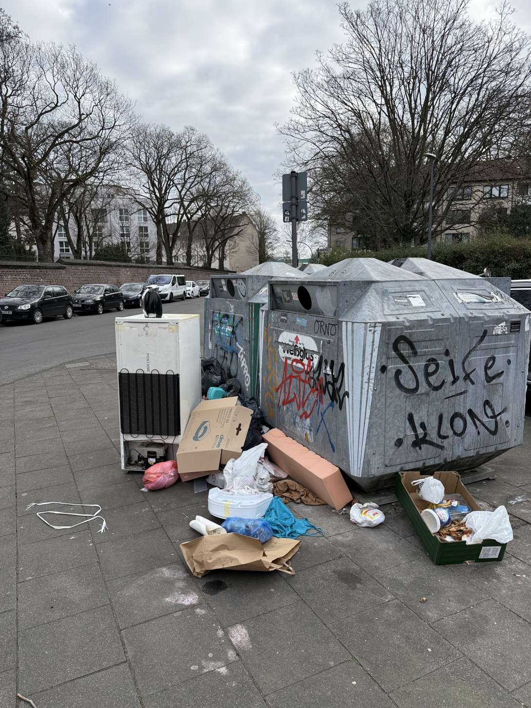 Bild zu gemeldetem Anliegen vom *2025-03-17 11:18:34