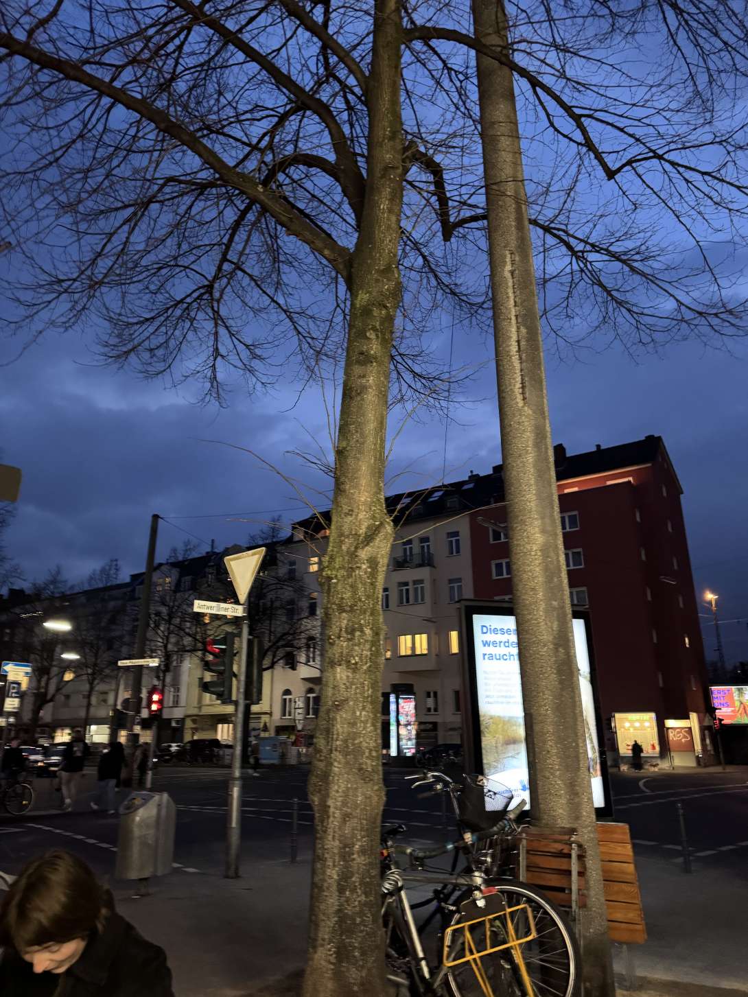Bild zu gemeldetem Anliegen vom *2025-03-24 19:25:53