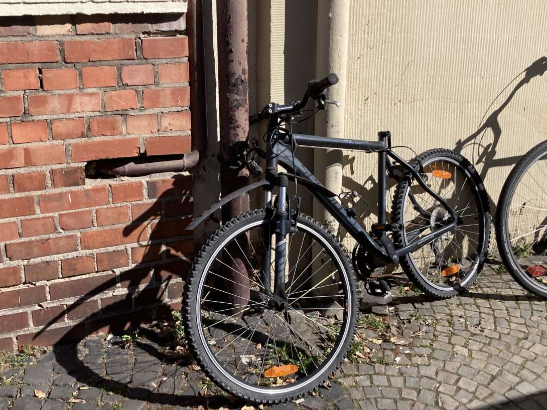 Bild zu gemeldetem Anliegen vom *2025-03-19 08:22:02