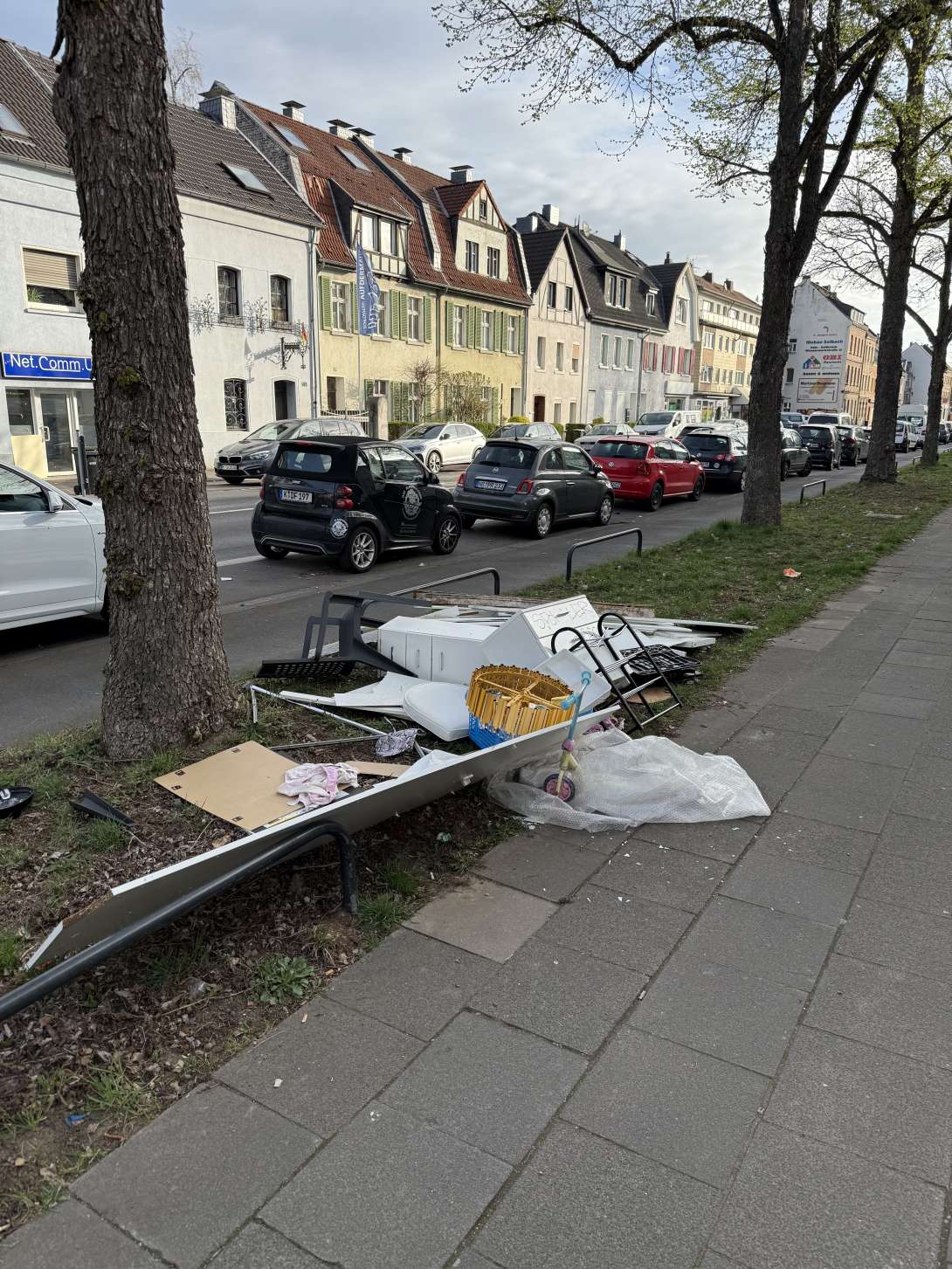 Bild zu gemeldetem Anliegen vom *2025-03-31 13:31:04