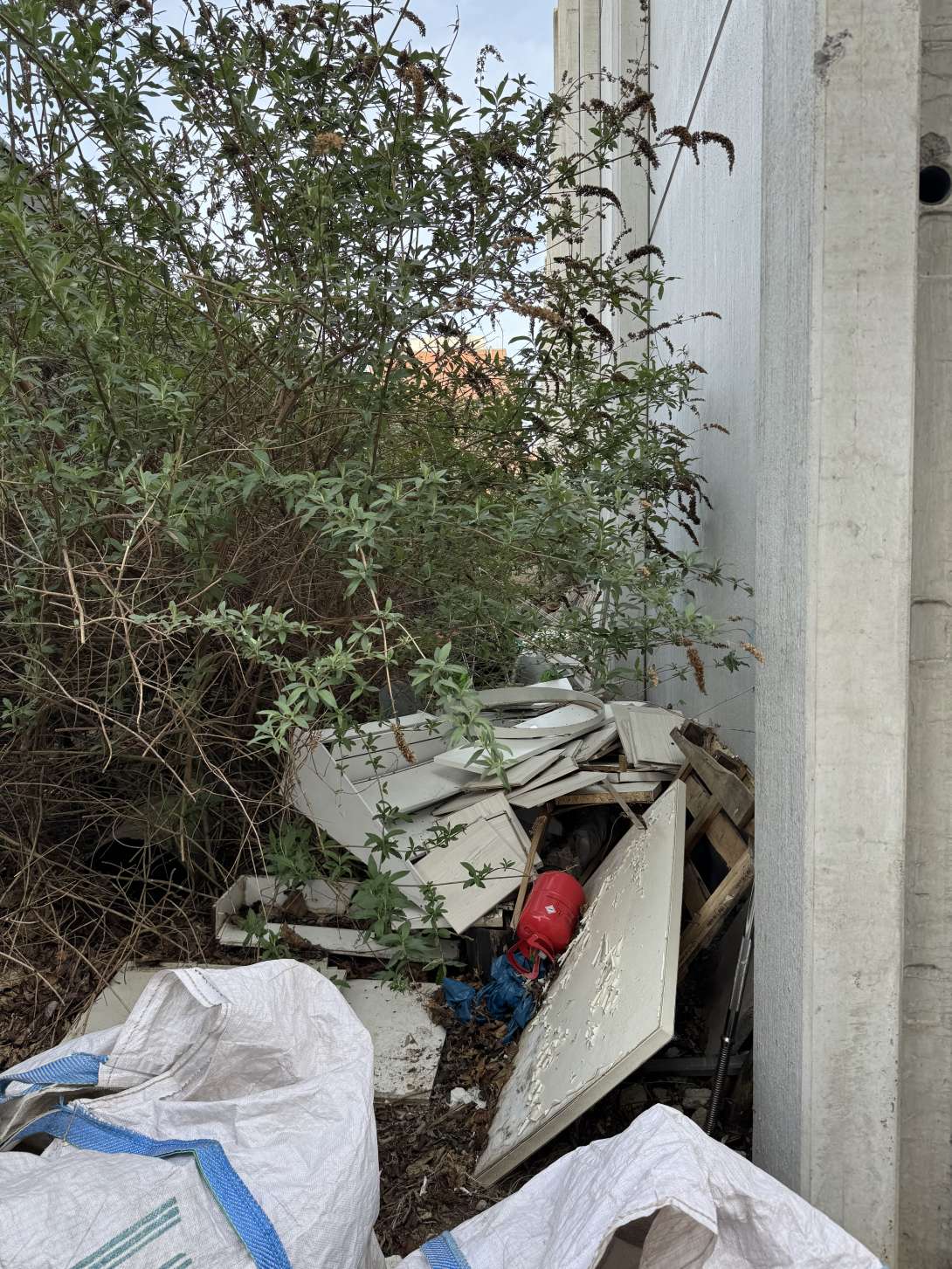 Bild zu gemeldetem Anliegen vom *2025-03-27 09:56:15