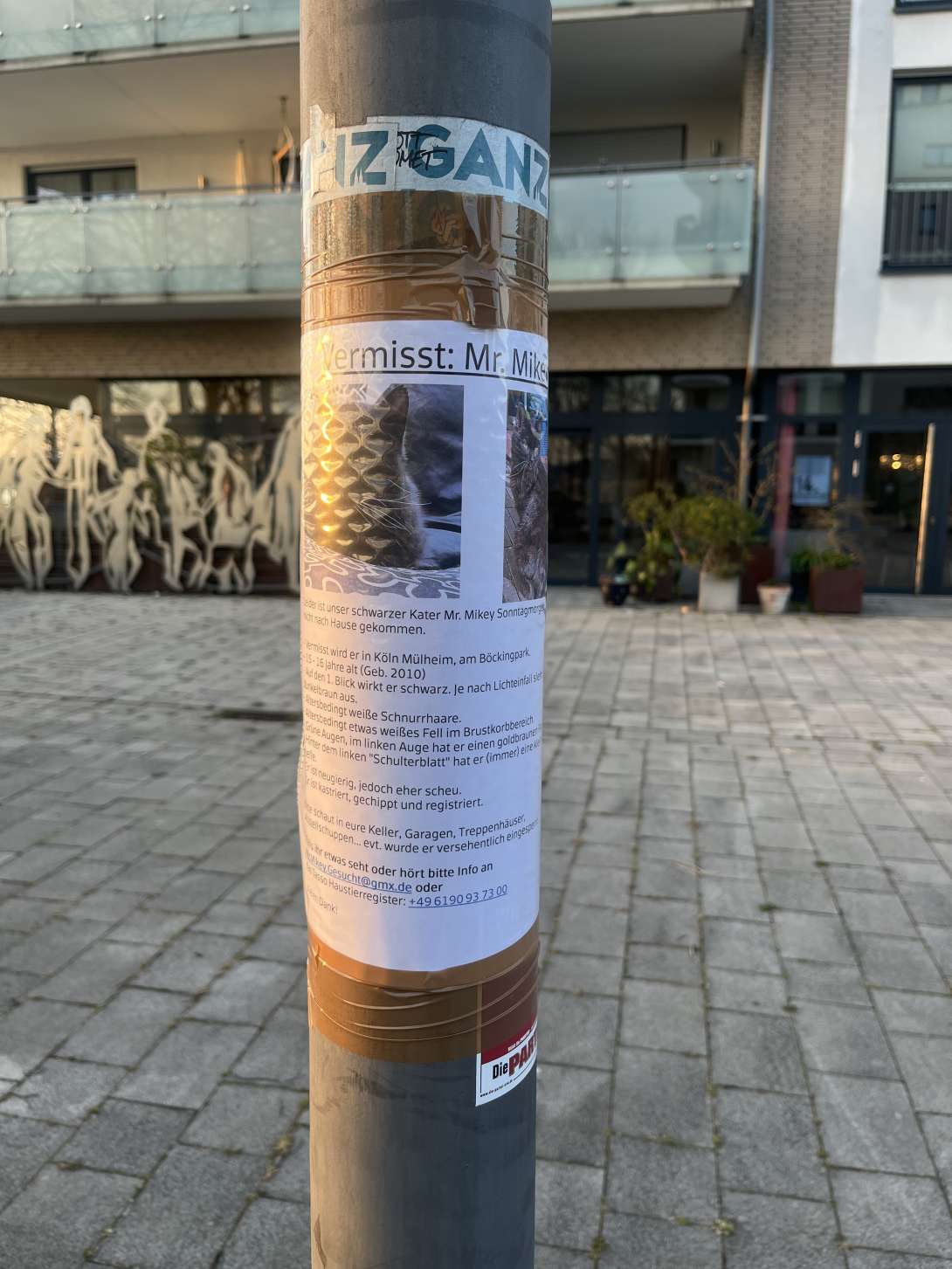 Bild zu gemeldetem Anliegen vom *2025-03-20 18:25:58