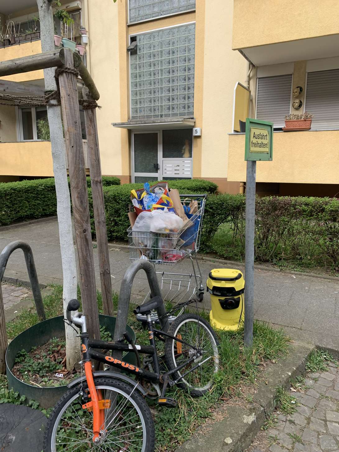 Bild zu gemeldetem Anliegen vom *2025-03-22 13:22:18