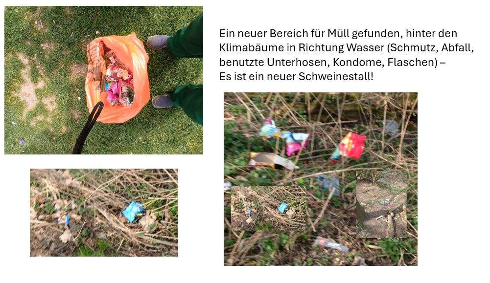 Bild zu gemeldetem Anliegen vom *2025-03-23 14:25:30