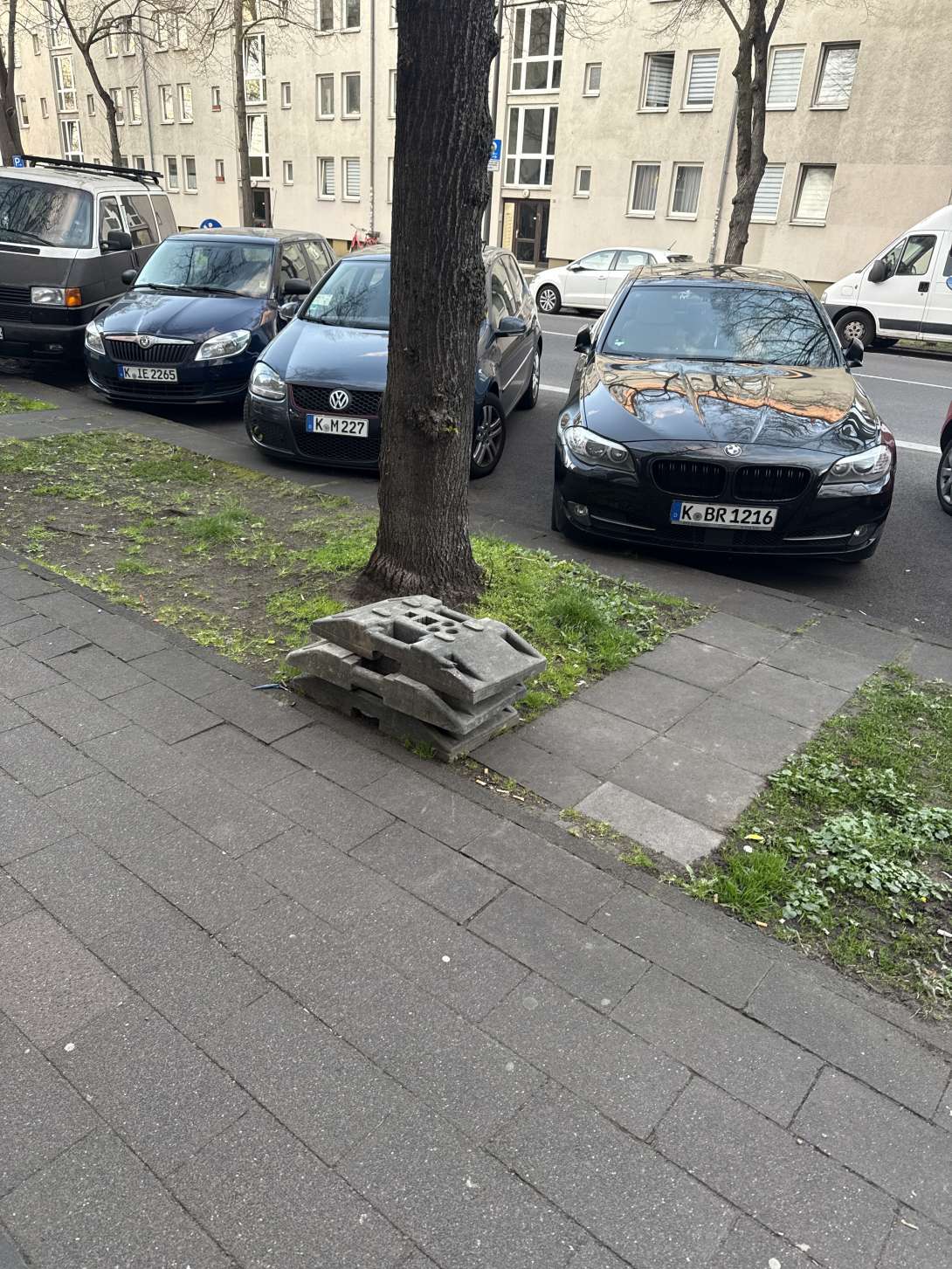 Bild zu gemeldetem Anliegen vom *2025-04-01 06:15:46