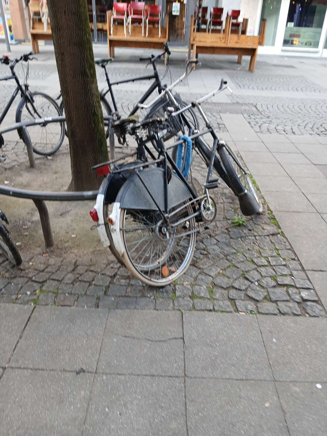 Bild zu gemeldetem Anliegen vom *2025-04-03 13:54:38