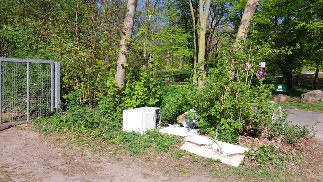 Bild zu gemeldetem Anliegen vom *2025-04-07 16:48:11
