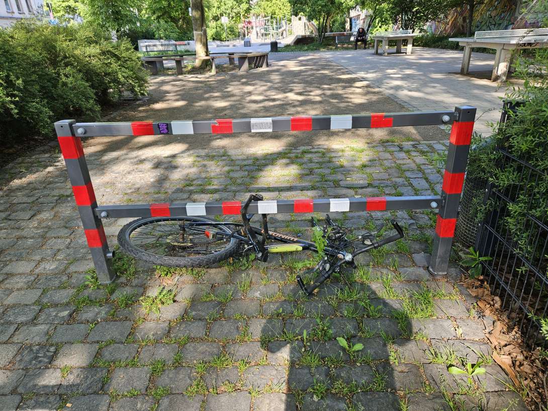 Bild zu gemeldetem Anliegen vom *2025-04-28 10:02:08