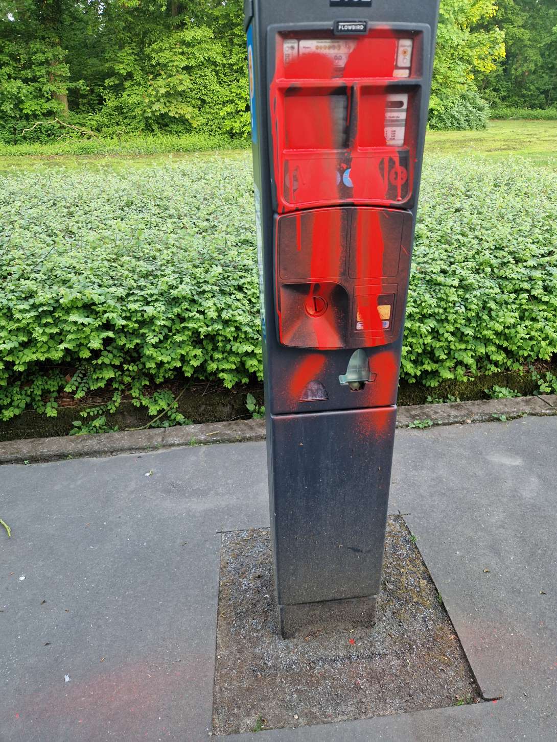 Bild zu gemeldetem Anliegen vom *2025-04-30 07:17:19