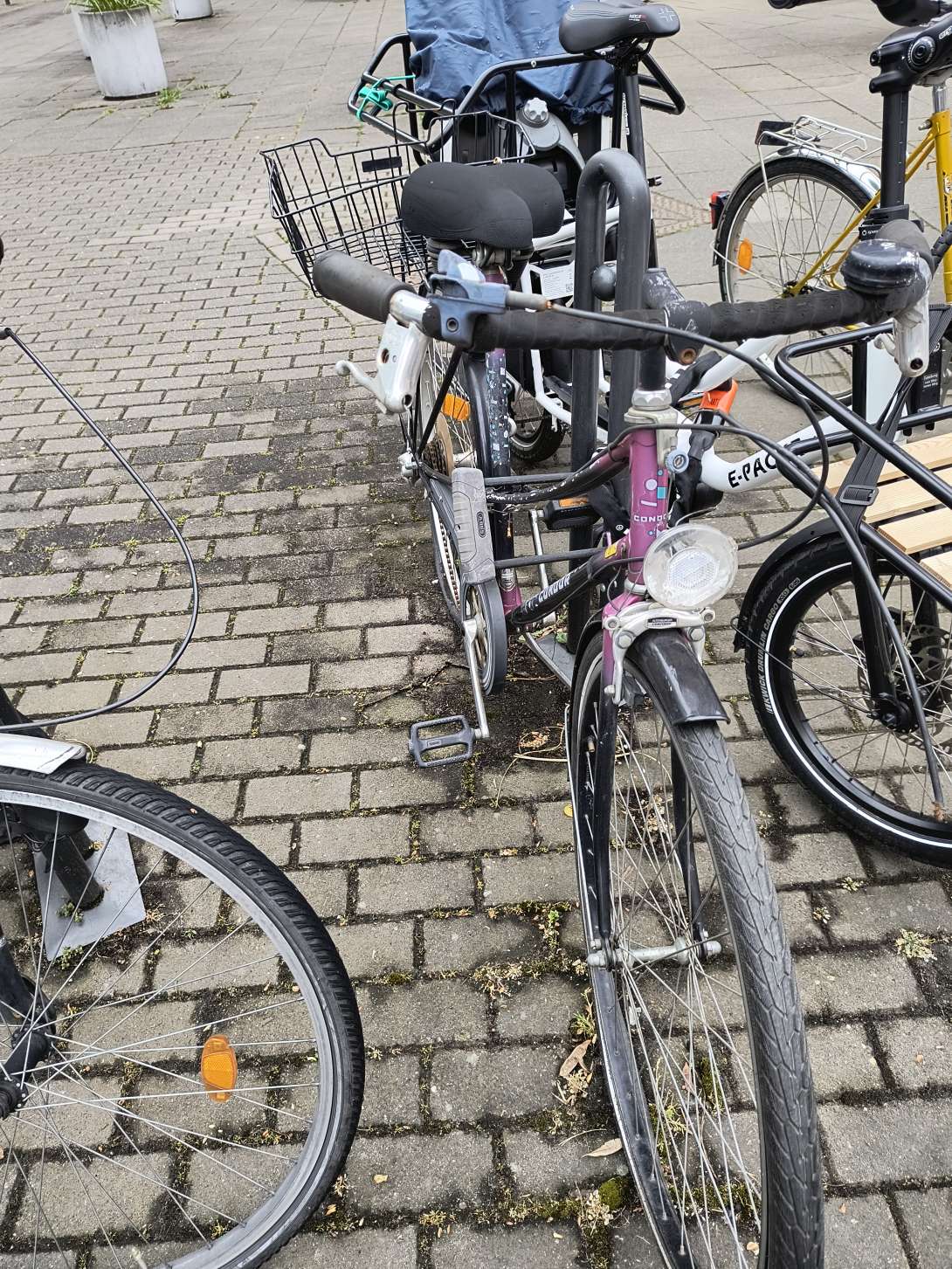 Bild zu gemeldetem Anliegen vom *2025-04-29 06:28:48