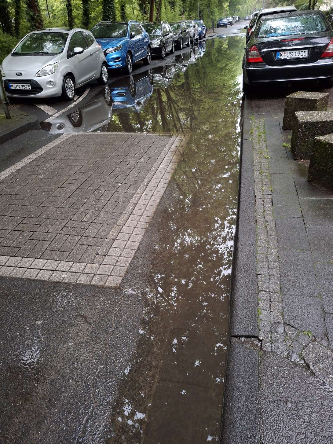 Bild zu gemeldetem Anliegen vom *2025-04-25 06:32:46