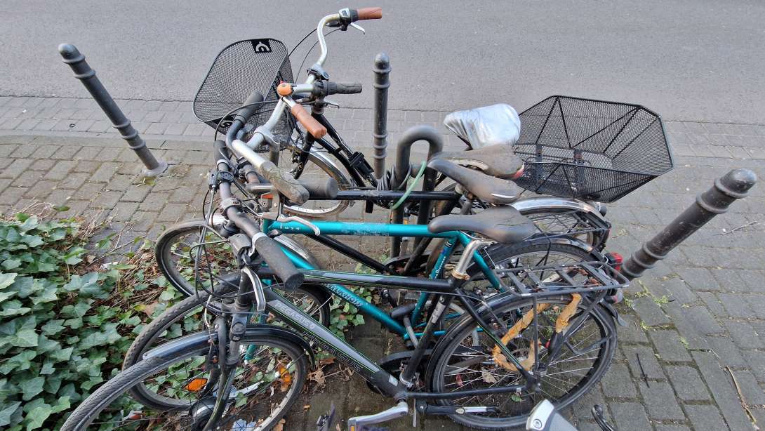 Bild zu gemeldetem Anliegen vom *2025-04-15 12:29:54