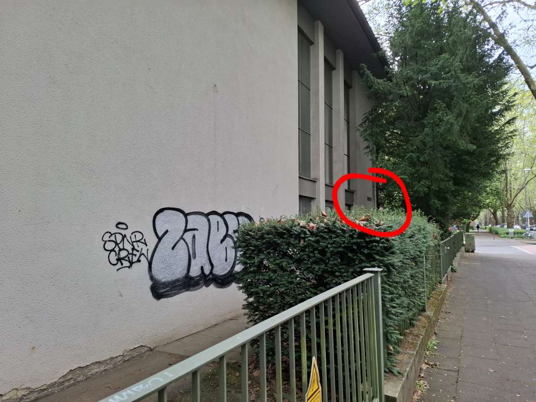 Bild zu gemeldetem Anliegen vom *2025-04-22 11:10:23