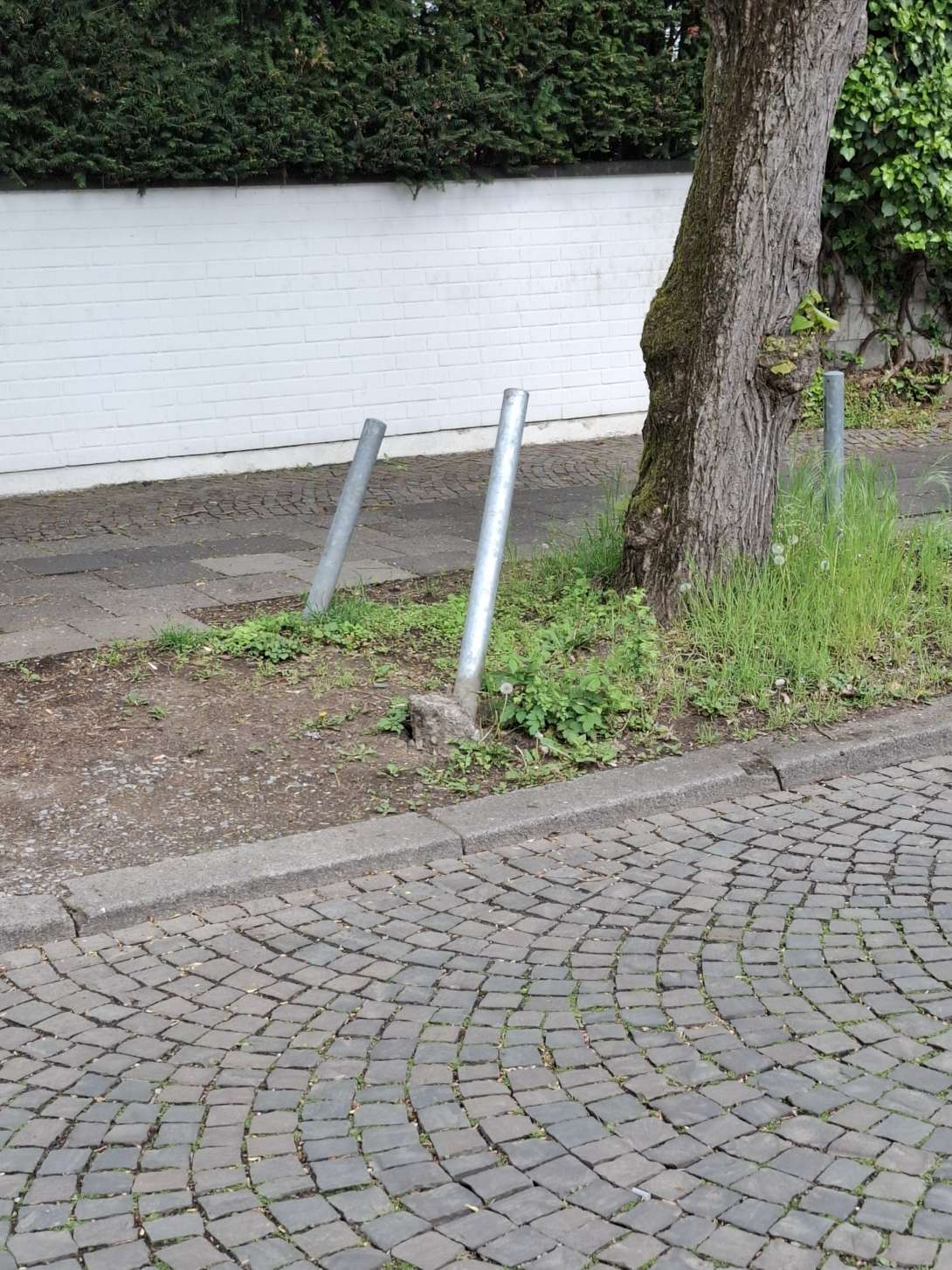 Bild zu gemeldetem Anliegen vom *2025-04-22 14:48:35