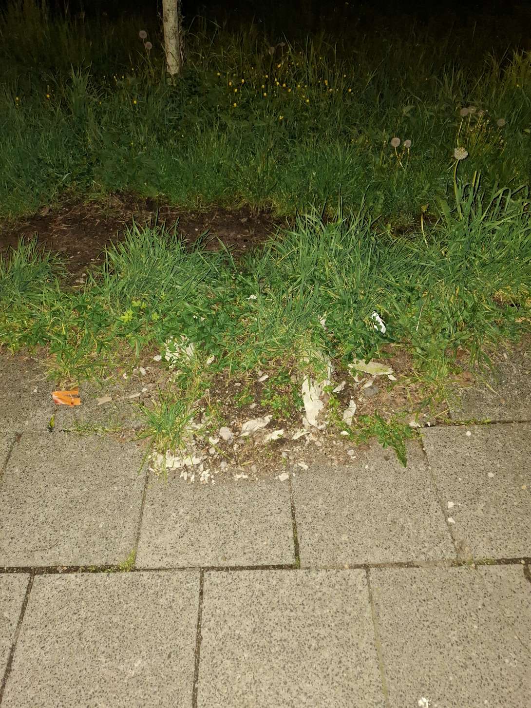 Bild zu gemeldetem Anliegen vom *2025-04-28 14:02:10