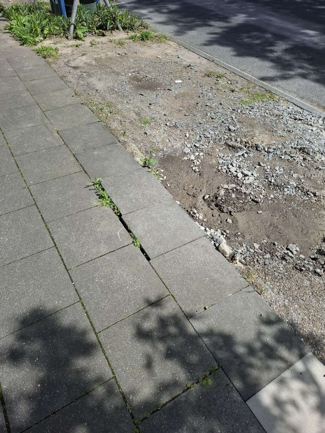 Bild zu gemeldetem Anliegen vom *2025-04-27 13:42:49