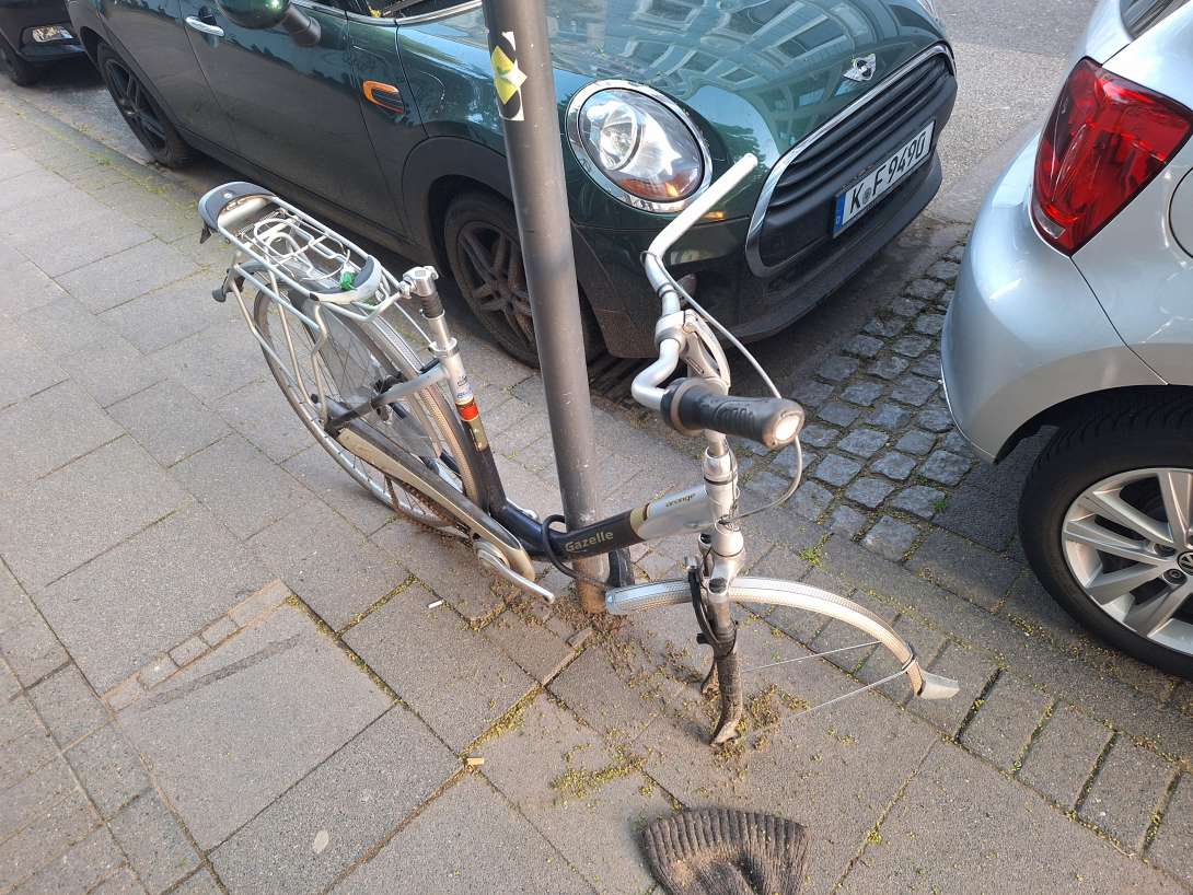 Bild zu gemeldetem Anliegen vom *2025-04-28 19:36:29