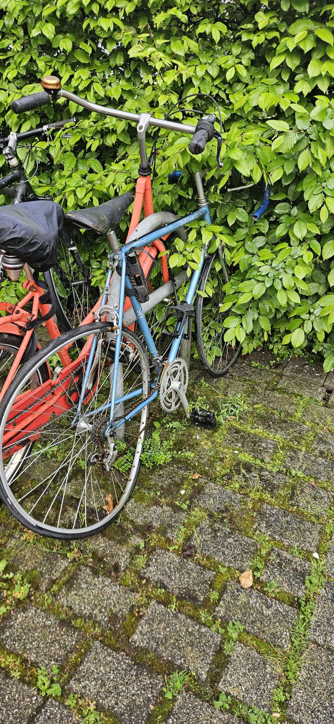 Bild zu gemeldetem Anliegen vom *2025-04-28 21:28:17
