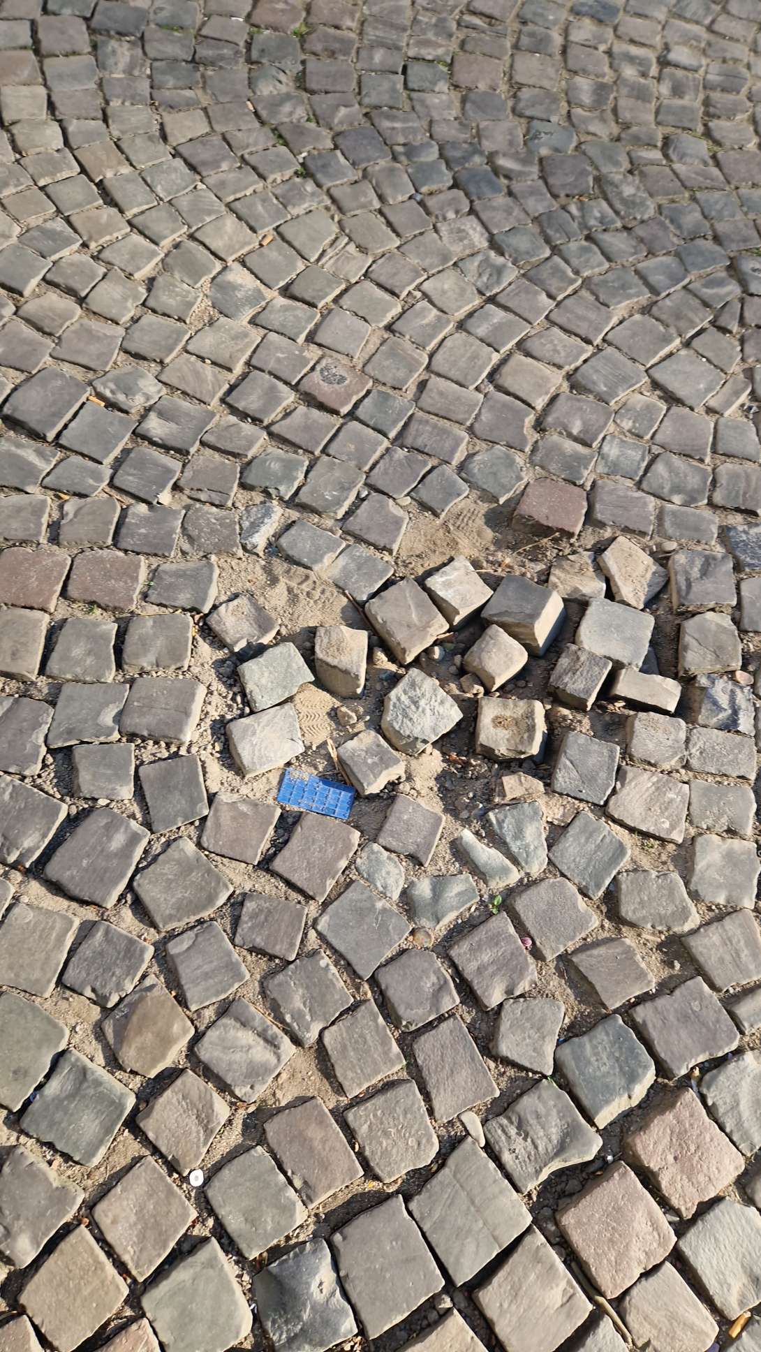 Bild zu gemeldetem Anliegen vom *2025-04-04 09:29:34