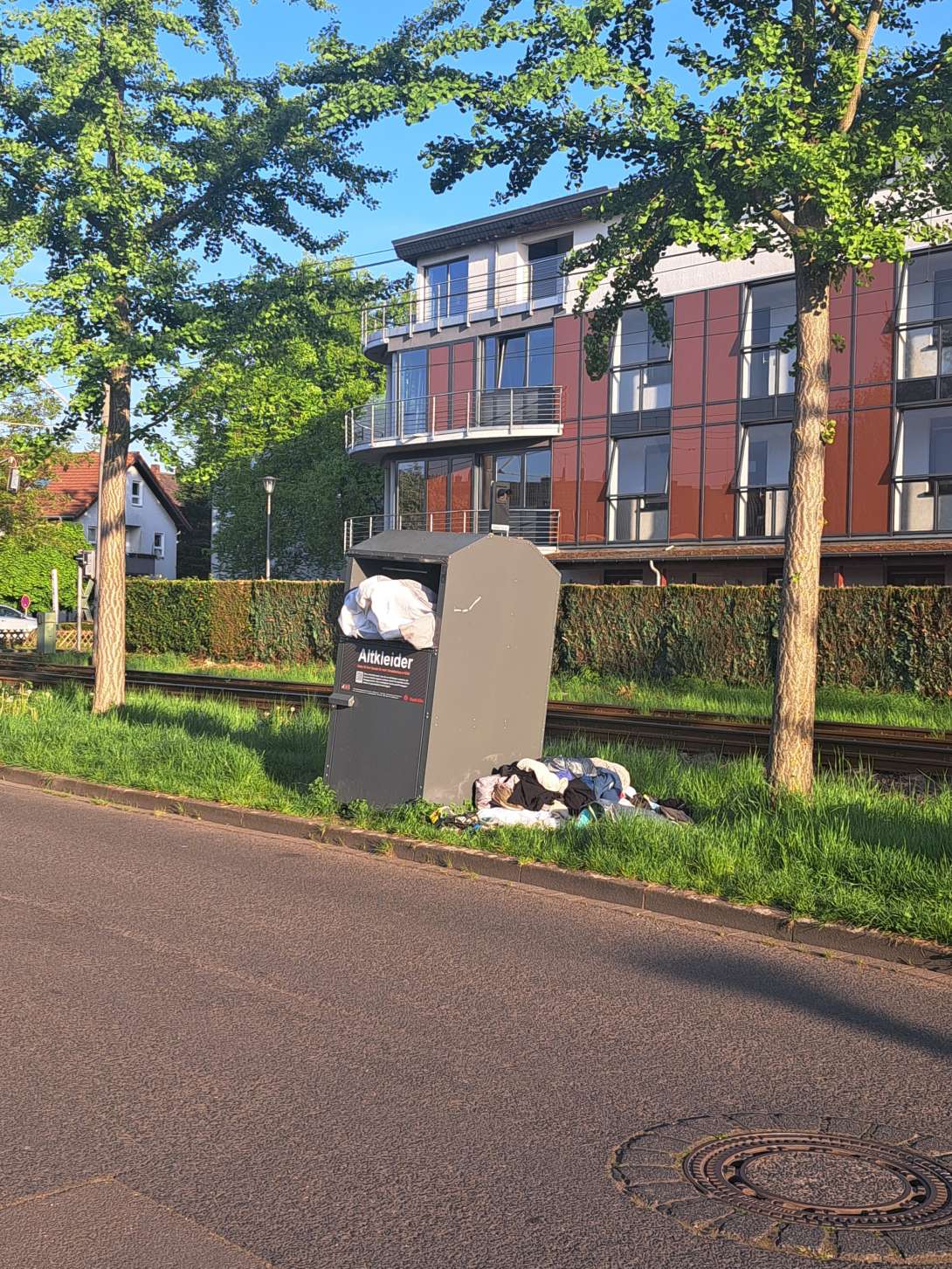 Bild zu gemeldetem Anliegen vom *2025-04-29 21:39:14