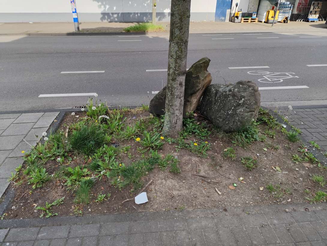 Bild zu gemeldetem Anliegen vom *2025-04-25 10:29:40